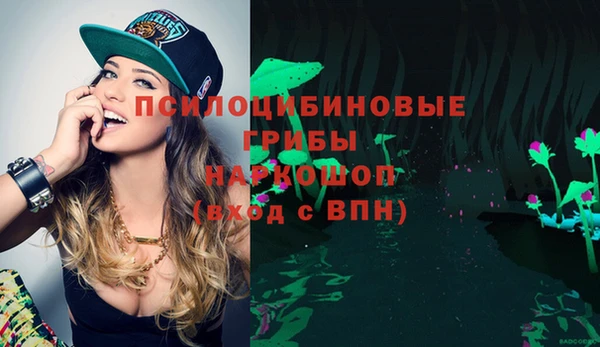 стафф Бронницы