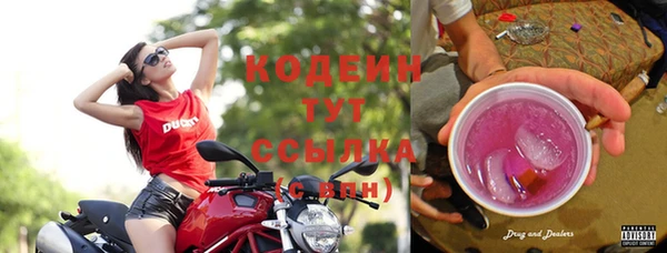стафф Бронницы